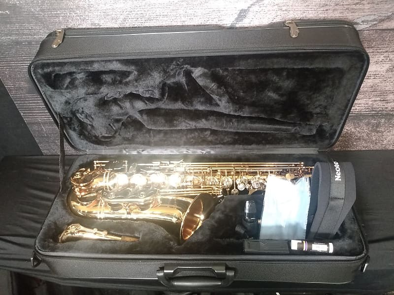 P. Mauriat PMSA51GC Alto Saxophone (Charlotte, NC) Reverb