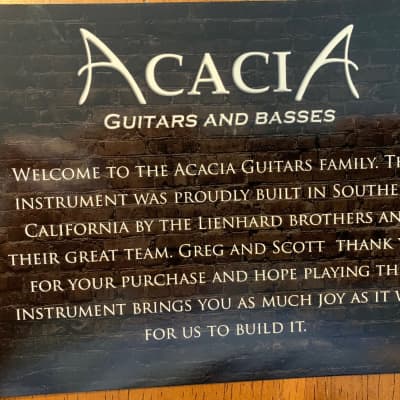 Acacia Hades Pro 6 Weathered Satin Black Finish Guitar w/Duncan Distortion PU's & Hard Case image 11