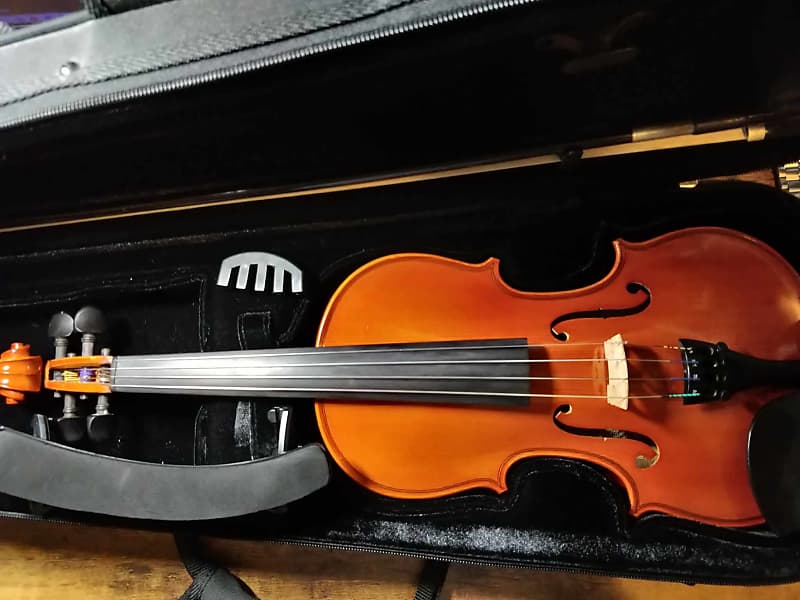 バイオリン Eastman Strings 3/4 Eastman 3 4 Violin | eBay