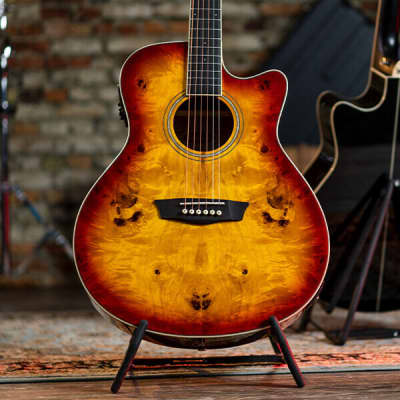 Washburn  DFBACEA | Deep Forest Burl Grand Auditorium Acoustic Electric Guitar, Amber Fade. New with Full Warranty! image 16
