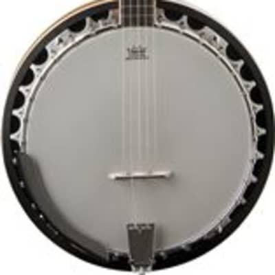 Washburn B9 Five String Banjo image 1