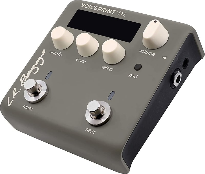 LR Baggs Voiceprint DI Acoustic Guitar Impulse Response Pedal | Reverb