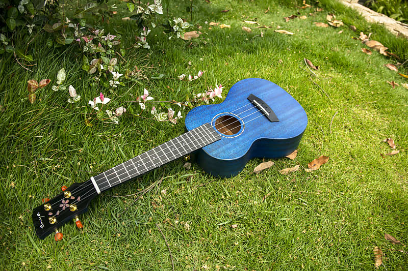 Enya EUTMS Blue All Solid Mahogany Tenor Size Ukulele with Reverb