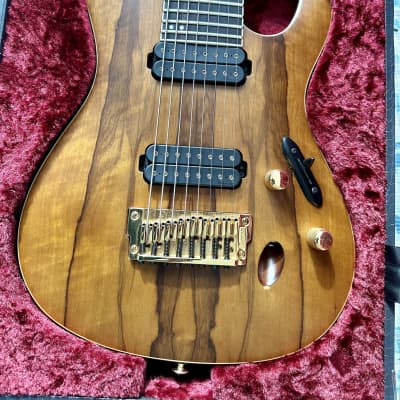 Ibanez s online series 8 string