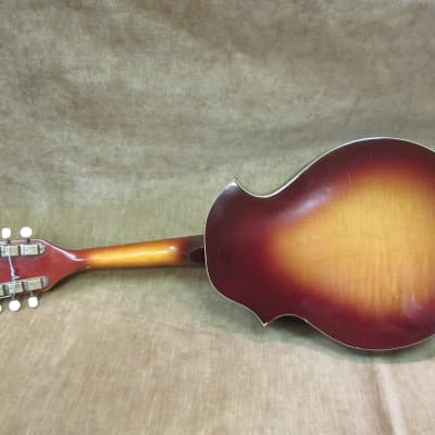 1950's Kay KM 70 8 String Mandolin Sunburst Great Shape Loud ! Pro Set Up Free US Shipping! image 13
