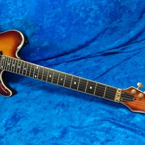 Valley Arts Custom Pro Shop Design by Samick Style 2 Tele