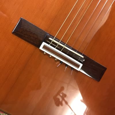 Alvarez AC60SC Classical Acoustic-Electric Guitar mid 2000s discontinued model in excellent condition with beautiful vintage hard case and key included. image 2
