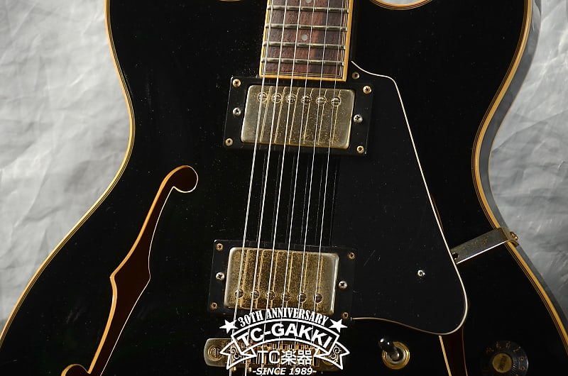 Aria Pro II TA-550 Semi Hollow Body Electric Guitar HH 1990