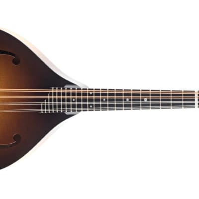 Collings MT A-Style Mandolin #A4344 image 7
