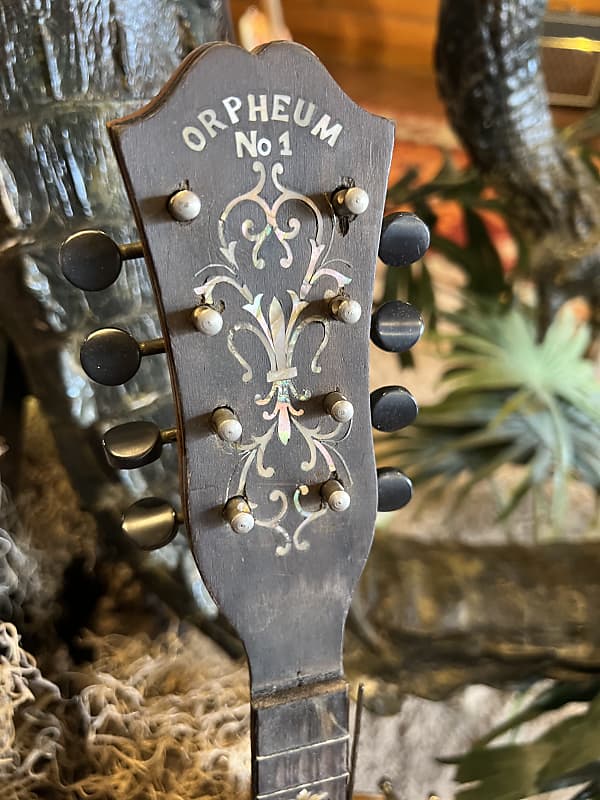 Orpheum No. 1 Mandolin Banjo Project with Original Hard Case | Reverb