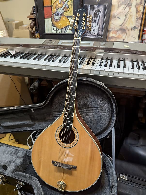 Gold Tone OM-800 + Acoustic Electric Octave Mandolin | Reverb UK