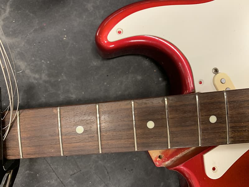 Fernandes Limited Edition Stratocaster | Reverb