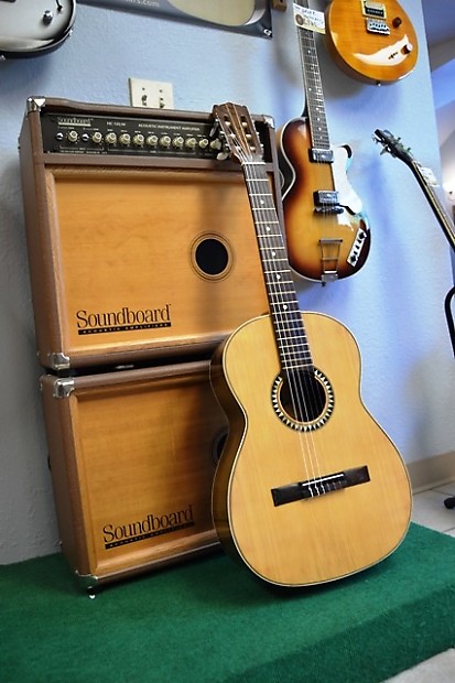 Giannini guitar brazilian rosewood top