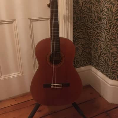 Vintage Ariana G-10 Guitar MIJ 1980's for sale
