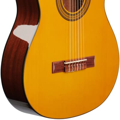 Epiphone PRO-1 Classic Nylon-String Classical Acoustic Guitar, Natural image 4