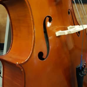 これ以上の値下げはありません　たのめる便　YAMAHA VC5　チェロ 3/4 Braviol チェロ VC5S 3/4 size 送料無料 | サウンドハウス