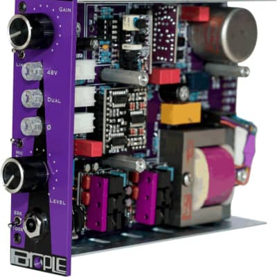 Purple Audio Pants - Mic Preamp image 5