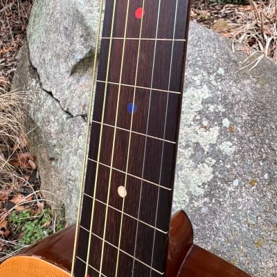 Very Rare Vega Acoustic Hawaiian Steel Guitar Fretless 1938 - Natural image 10