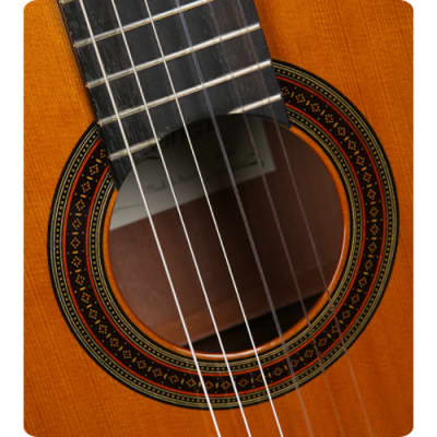 Cuenca 45 Ziricote Classical Nylon Guitar Classic Solid Red Cedar Top Spain image 4