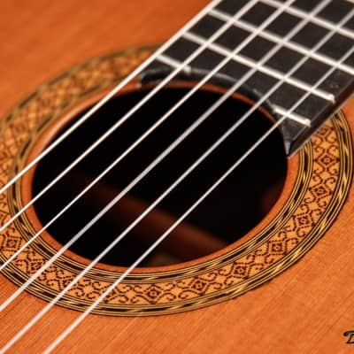 1995 Paris Banchetti Concert Classical, Brazilian Rosewood/Cedar image 20