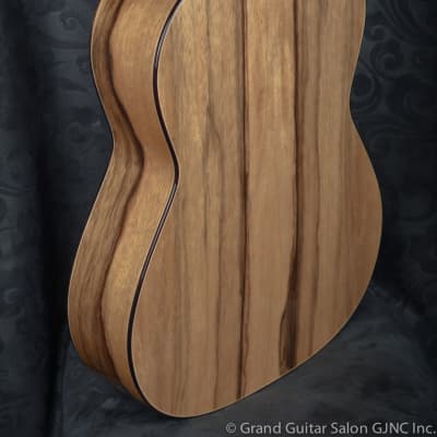 Raimundo Tatyana Ryzhkova Signature model, Cedar top  classical guitar image 11