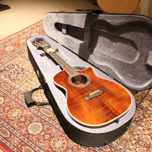 Sound Port Technology USA "Deluxe" Acoustic Guitar image 10
