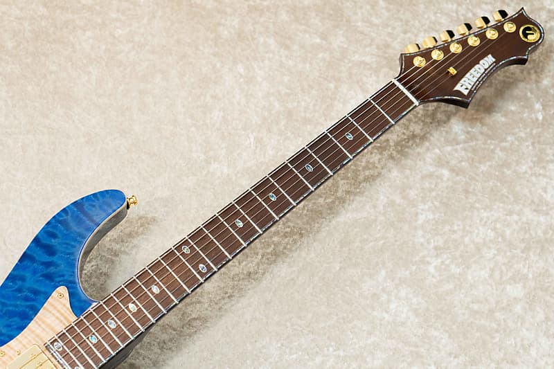 FREEDOM CUSTOM GUITAR RESEARCH HYDRA 24F 2Point Rosewood