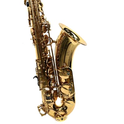 Elkhardt Tenorsax Super Deluxe image 6