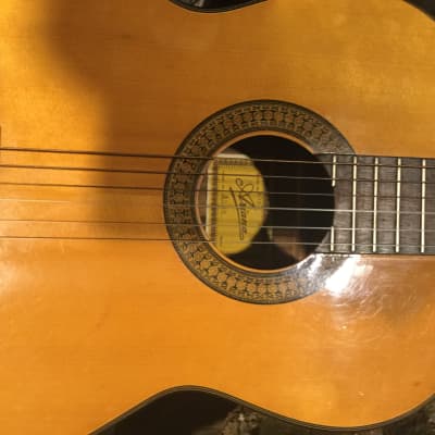 Ariana  A588 Vintage Acoustic Guitar image 5