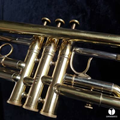 D. Calicchio 1s7 ML Sterling Silver leadpipe trumpet case gamonbrass image 11