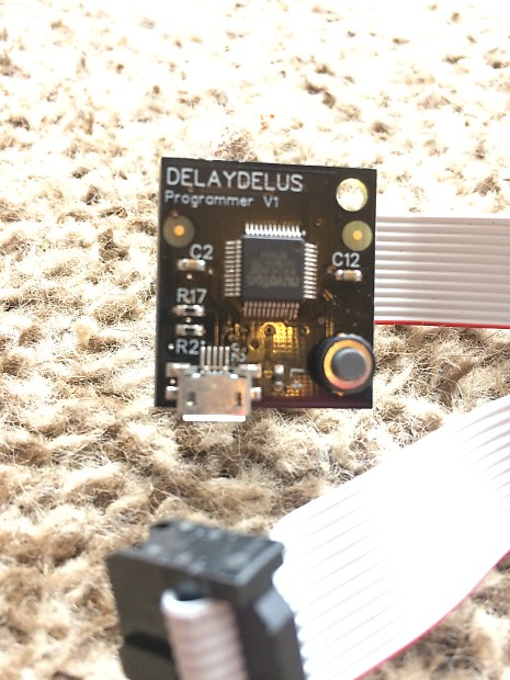 Bleep labs THE DELAYDELUS ジャンク Bleep Labs Delaydelus | Reverb
