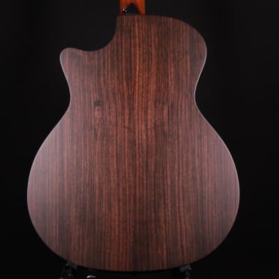 Taylor 314ce Special Edition Rosewood / Sitka Spruce Grand Auditorium Acoustic Electric Guitar 2023 (1209133074) image 2