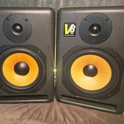 希少動作品！Roland ローランド パワード・モニター DS-7 2本セット 希少動作品！Roland ローランド パワード・モニター DS-7 2本セット