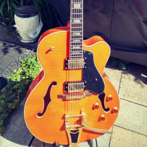Agile Cool Cat Jazz Guitar Reverb