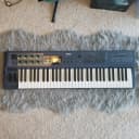 Yamaha AN1x Virtual Analog Synthesizer with Custom Cover and Power Supply