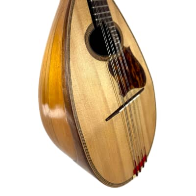 Concert Mandolin Emanuele Egildo N°299 from 1912 image 4