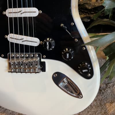 Fender Stratocaster Partscaster Build w/ Hard Shell Case image 7
