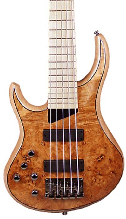 5 string left handed bass guitar top
