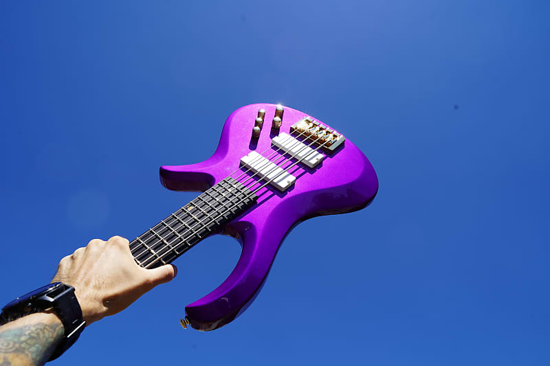 Schecter Diamond Series FreeZesicle Freeze Purple 5-String Bass (2023)