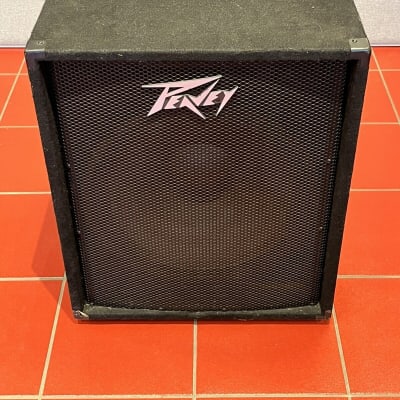 Peavey pv118 best sale