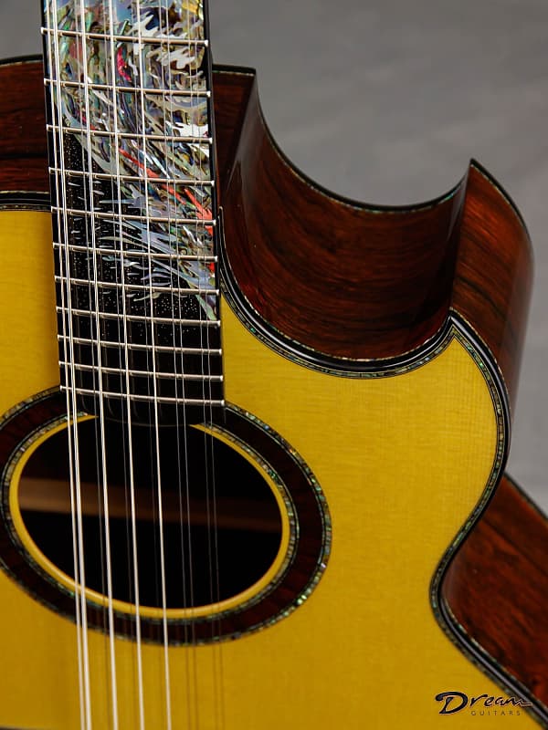 2009 Tippin Bravado 12 String, Brazilian Rosewood/Sitka Spruce - Dream  Guitars