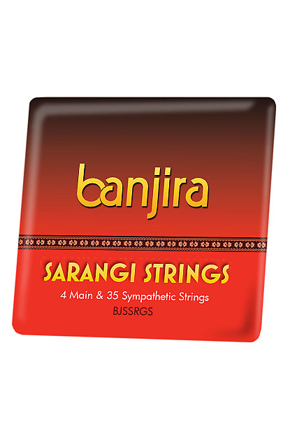 Banjira BJSSRGS Sarangi 39 String Set image 1