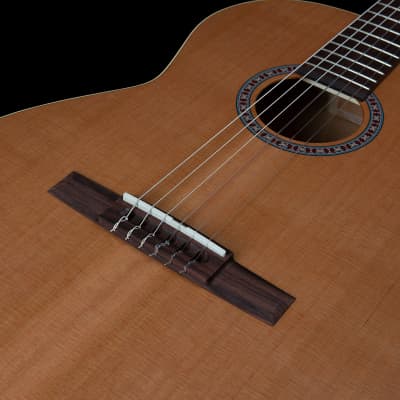 Godin Etude Nylon String Guitar image 8