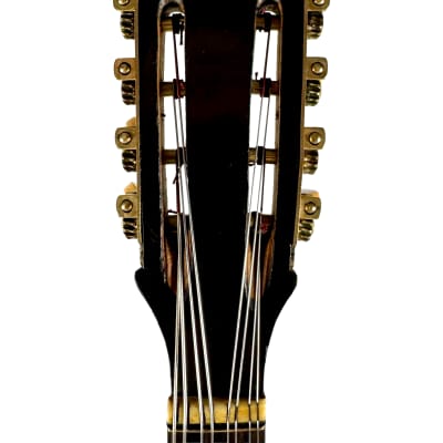 Concert Mandola Flat-Back Emanuele Egildo N°240 from 1920 image 13
