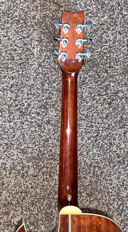 Washburn ストラトキャスター WASHBURN|ストラトキャスタータイプ|HARDOFFオフモール（オフモ