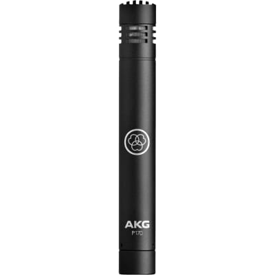AKG P170 Small Diaphragm Condenser Microphone