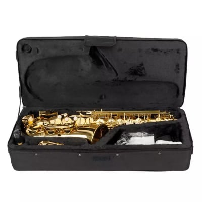 Practice Beginner Eb Alto Sax Saxophone School Paint With Case & Accessories image 6