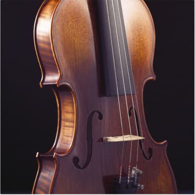 Stentor Arcadia Violin 4/4 Full Size image 2