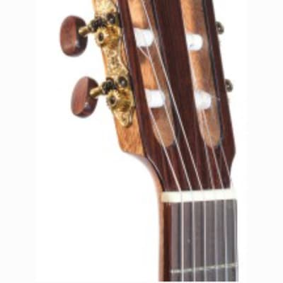 Kremona Fiesta F65 TLR | Classical Guitar with Fishman & Cutaway. New with Full Warranty! image 4