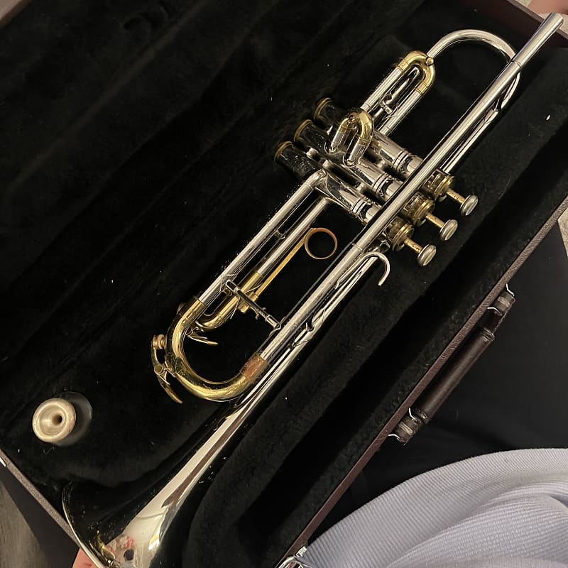King Tempo Trumpet Reverb